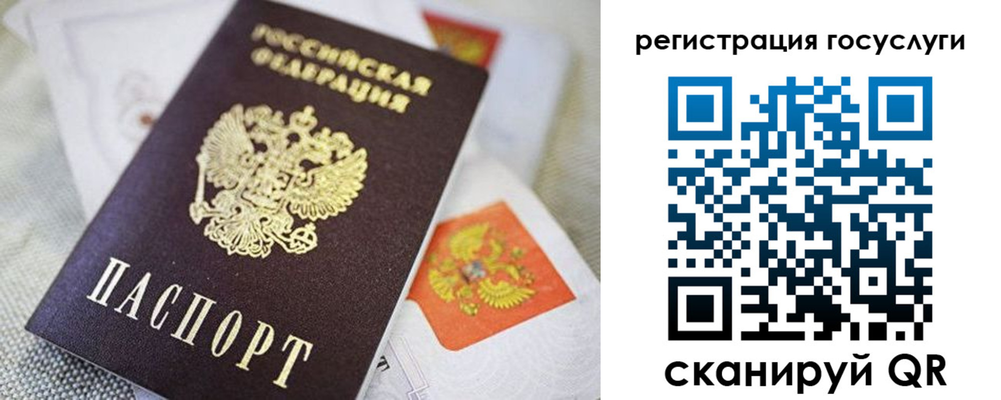 прописка паспорт в Дорогобуже